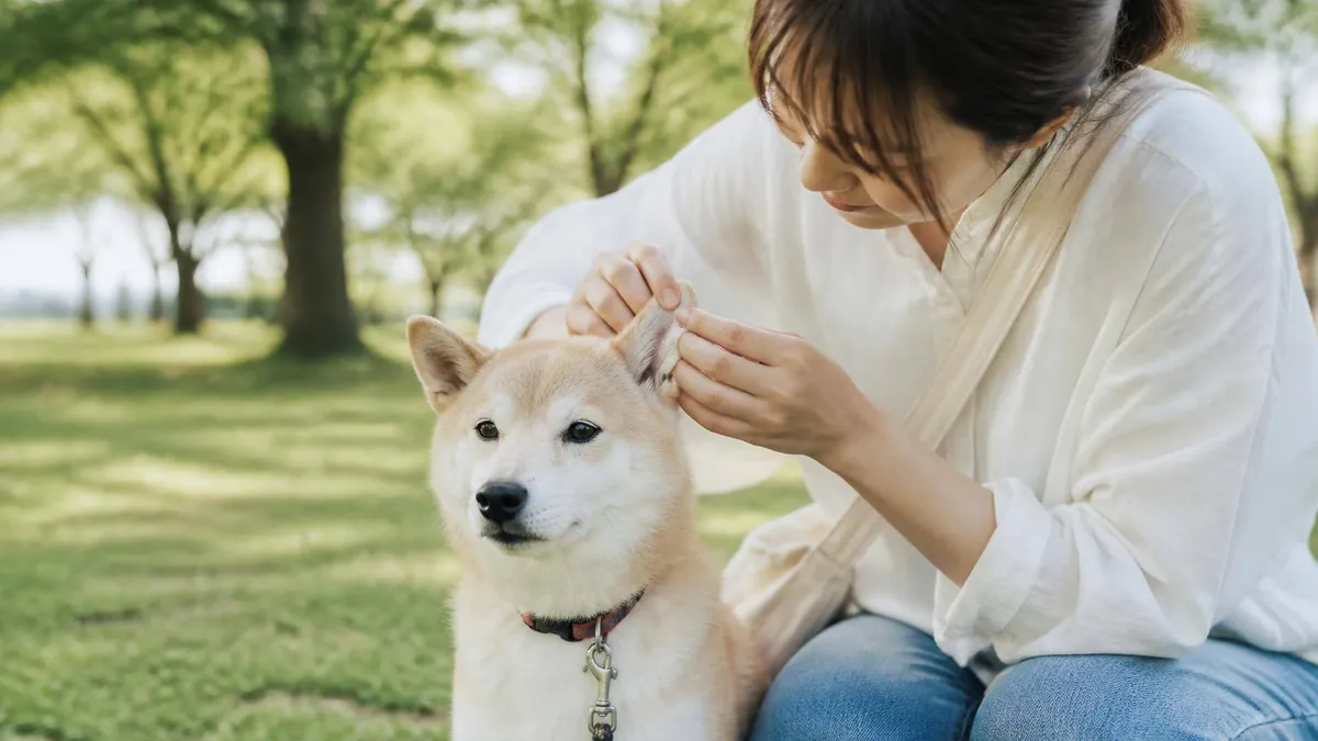 犬のボディランゲージ入門｜しっぽや耳の動きでわかる愛犬の気持ち