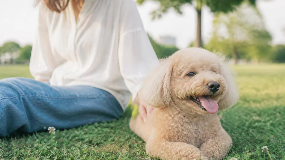 犬の咳が止まらない…これって病気?考えられる原因と受診の目安
