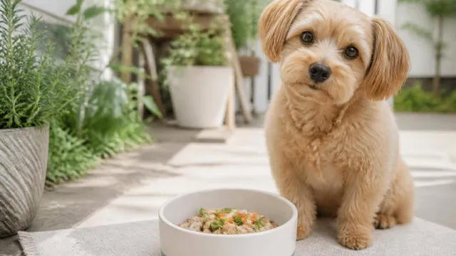 犬の手作りご飯｜いつものフードに加えるだけの簡単トッピング入門