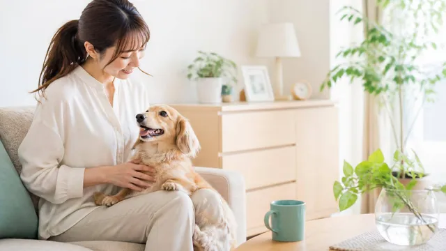 犬の飲水量が増えたら?考えられる原因と家庭での観察、受診目安