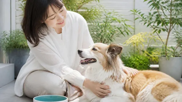 犬が水を飲まない時、どうすればいい?危険なサインと飲水量を増やす工夫