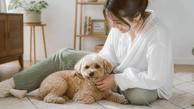 犬の震え、その原因は？ストレスや病気のサインと見分け方を解説