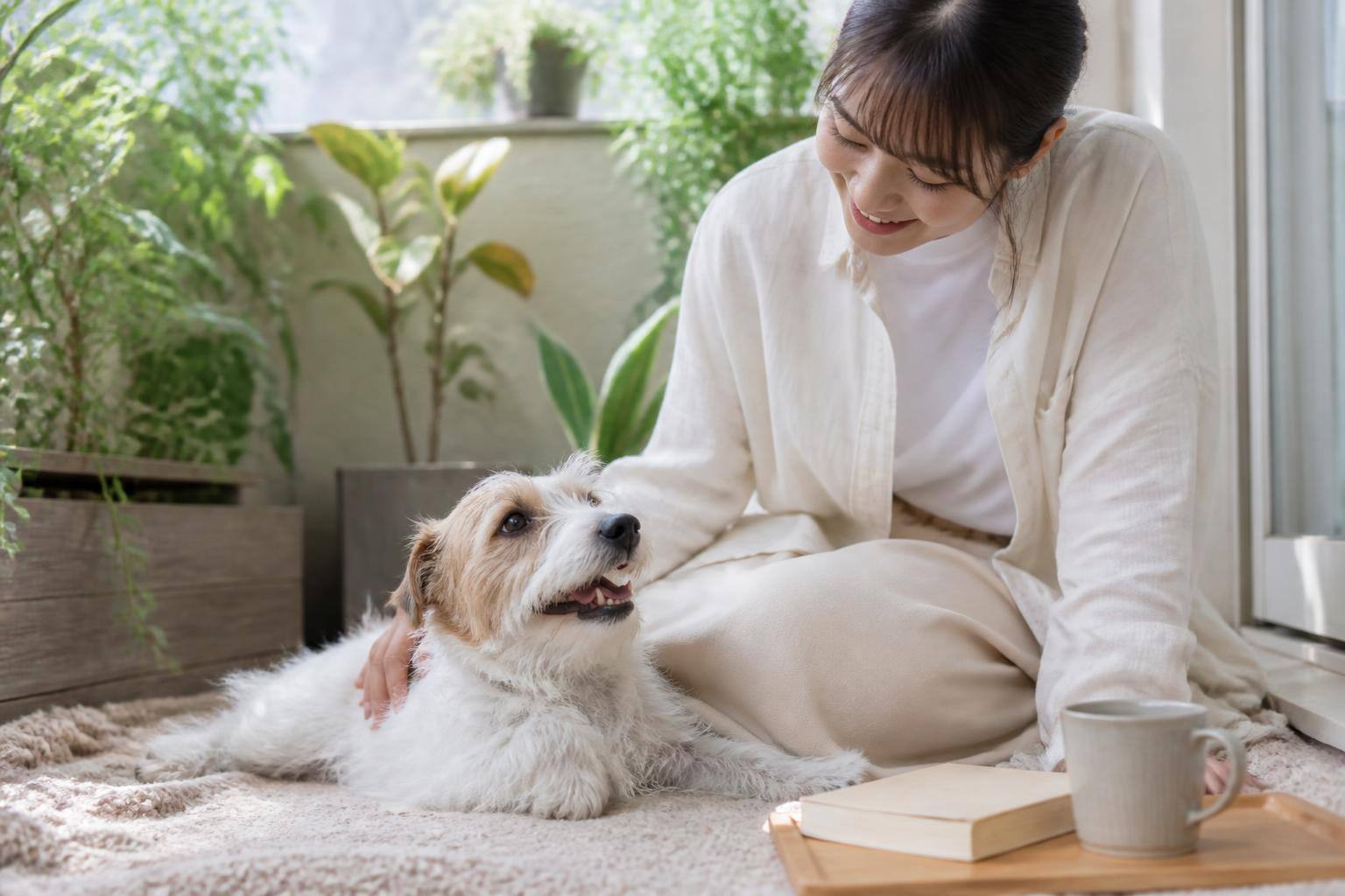 犬が誤飲！飼い主ができる応急処置と絶対にしてはいけないこと