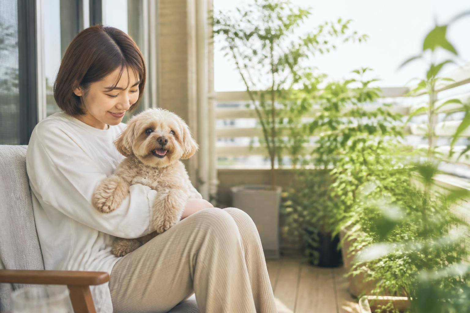 犬の血液検査ガイド｜主要項目の見方と基準値、獣医師への伝え方