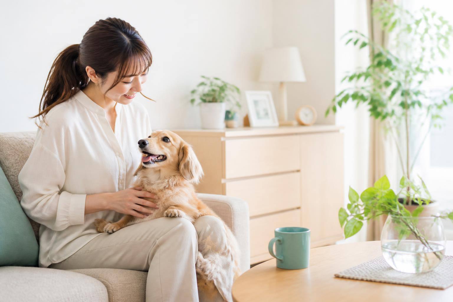 犬の飲水量が増えたら？考えられる原因と家庭での観察、受診目安