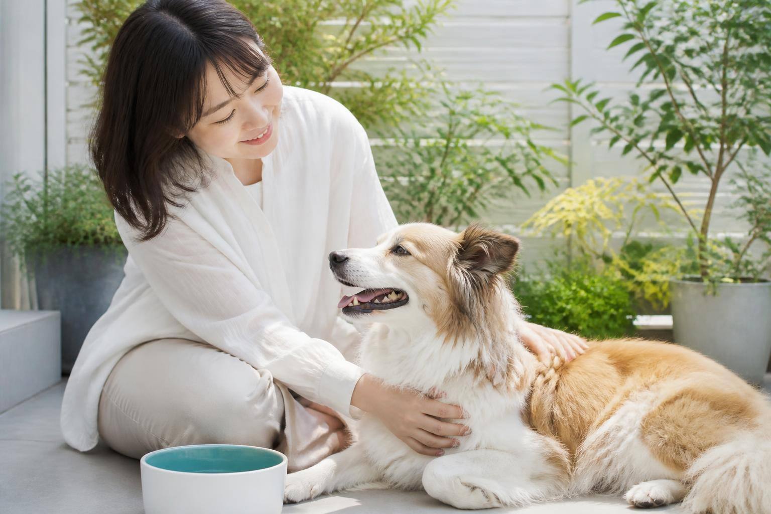 犬が水を飲まない時、どうすればいい？危険なサインと飲水量を増やす工夫