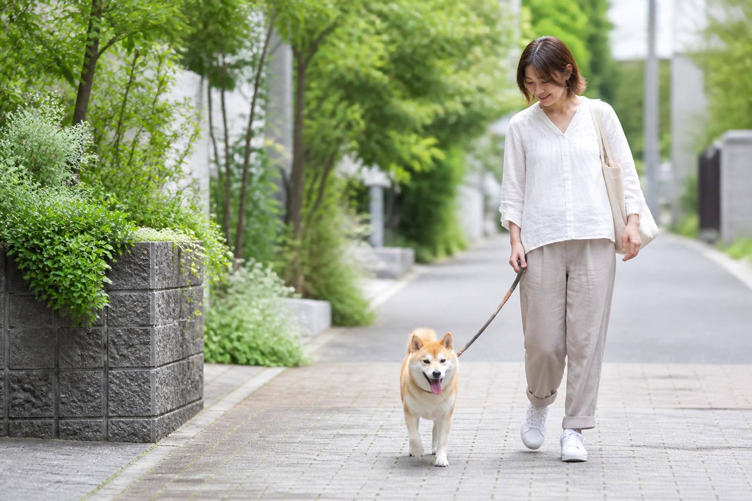 愛犬の嘔吐、その色でわかること：受診の目安と家庭での観察ポイント